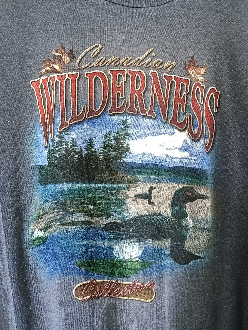 Vtg 90s Canadian Wilderness Loon Sweatshirt 25x25